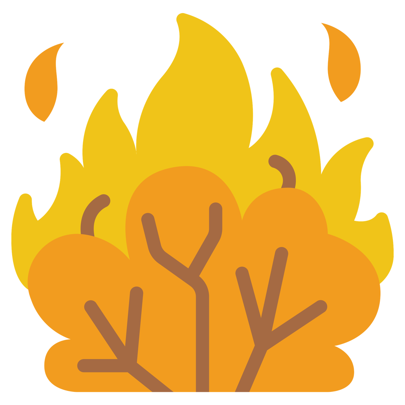 bushfire